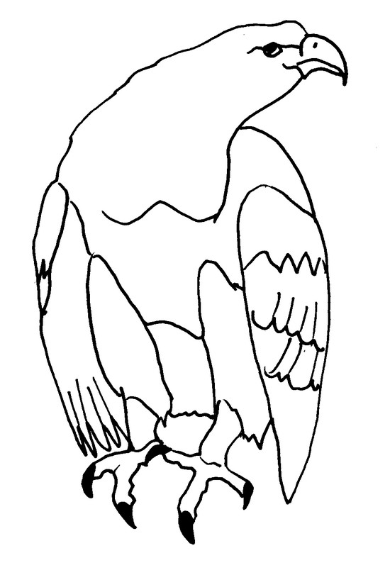 Dibujo para colorear: Águila (Animales) #316 - Dibujos para Colorear e Imprimir Gratis