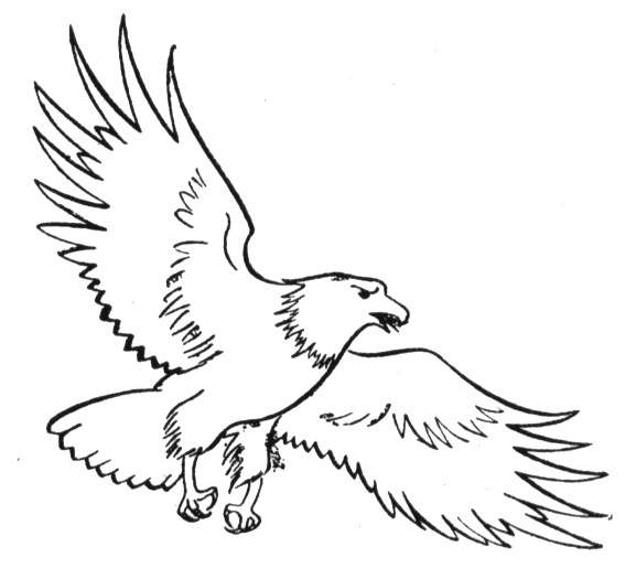 Dibujo para colorear: Águila (Animales) #318 - Dibujos para Colorear e Imprimir Gratis