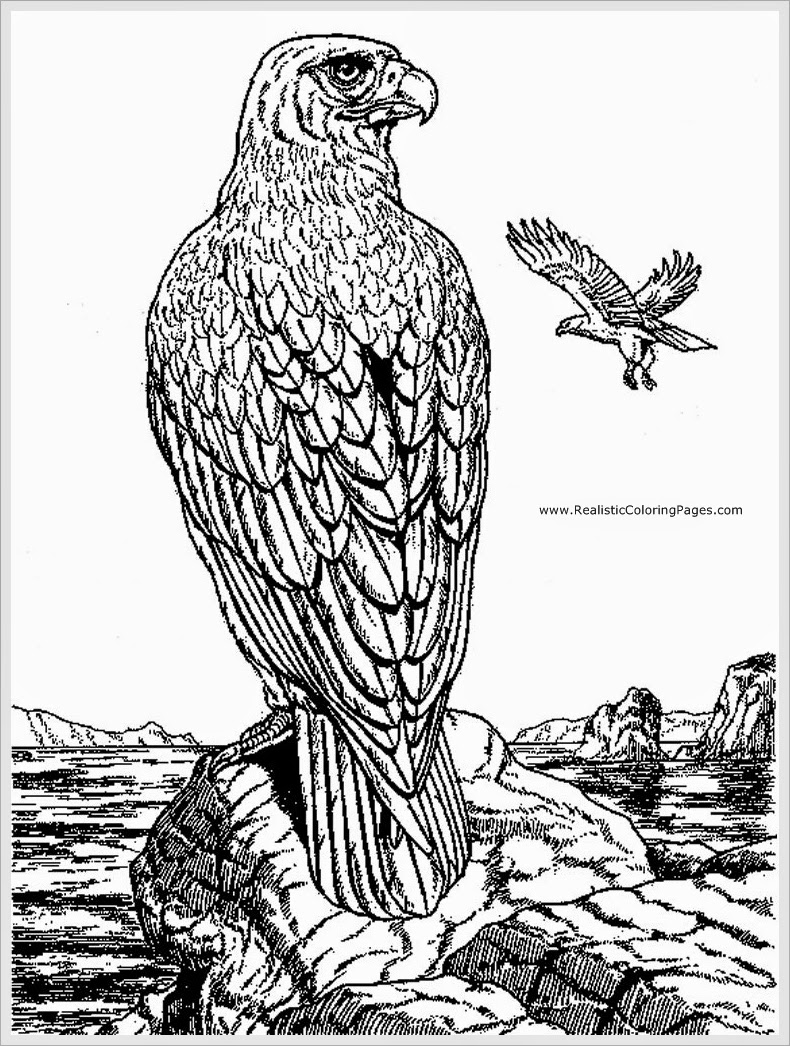 Dibujo para colorear: Águila (Animales) #324 - Dibujos para Colorear e Imprimir Gratis