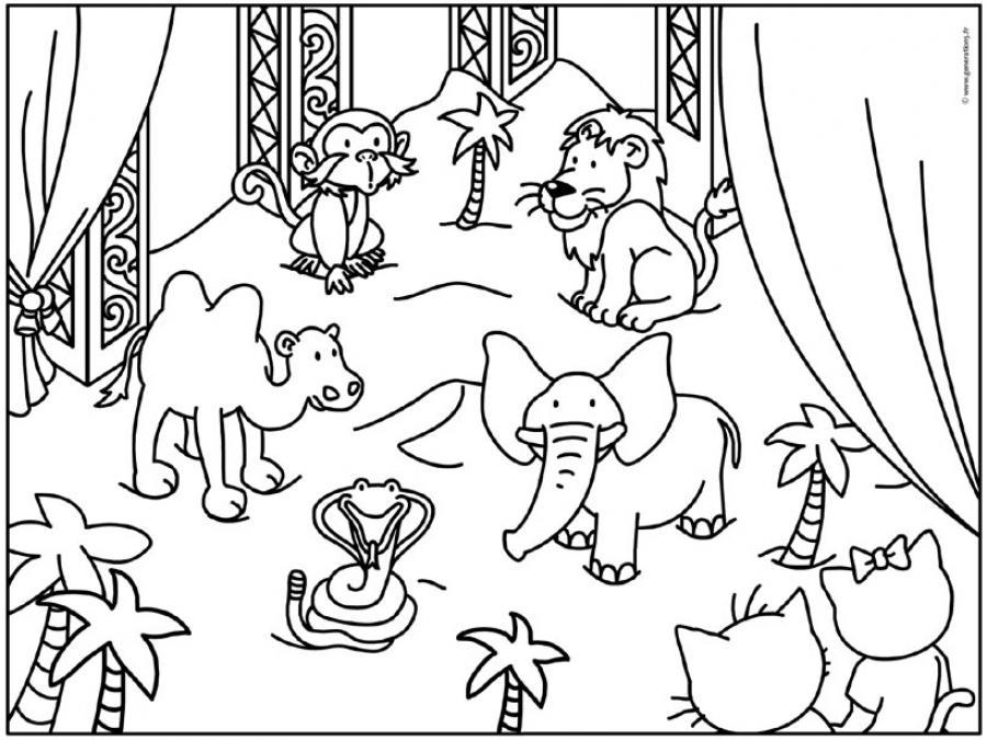 Dibujo para colorear: Animales de circo (Animales) #20891 - Dibujos para Colorear e Imprimir Gratis