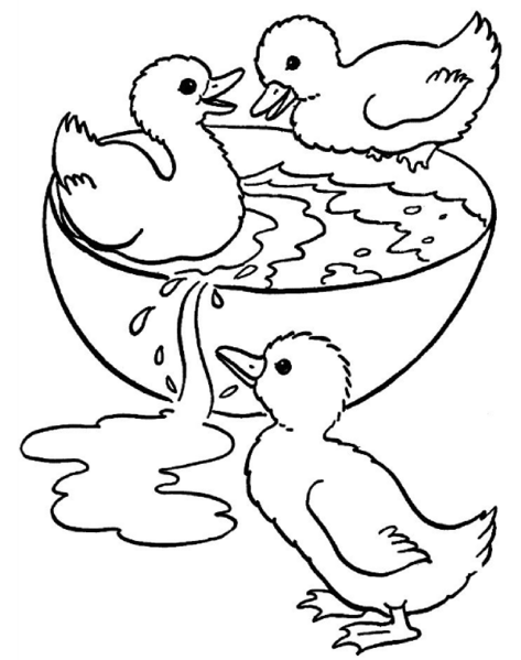Dibujo para colorear: Animales de granja (Animales) #21397 - Dibujos para Colorear e Imprimir Gratis