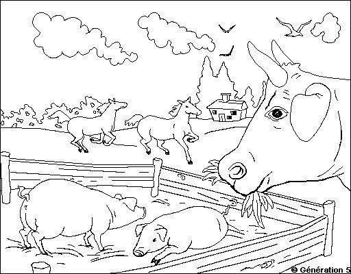 Dibujo para colorear: Animales de granja (Animales) #21663 - Dibujos para Colorear e Imprimir Gratis