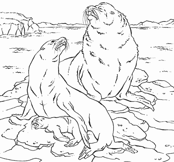 Dibujo para colorear: Animales marinos (Animales) #22176 - Dibujos para Colorear e Imprimir Gratis