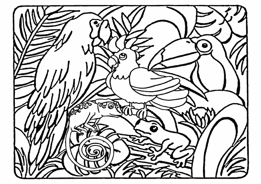 Dibujo para colorear: Animales salvajes / de la selva (Animales) #21082 - Dibujos para Colorear e Imprimir Gratis