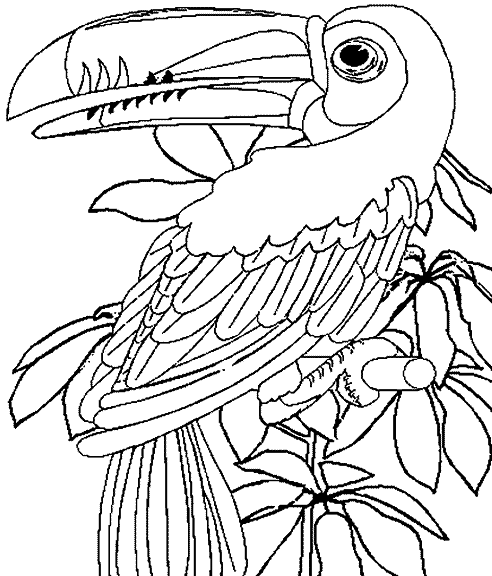 Dibujo para colorear: Animales salvajes / de la selva (Animales) #21094 - Dibujos para Colorear e Imprimir Gratis