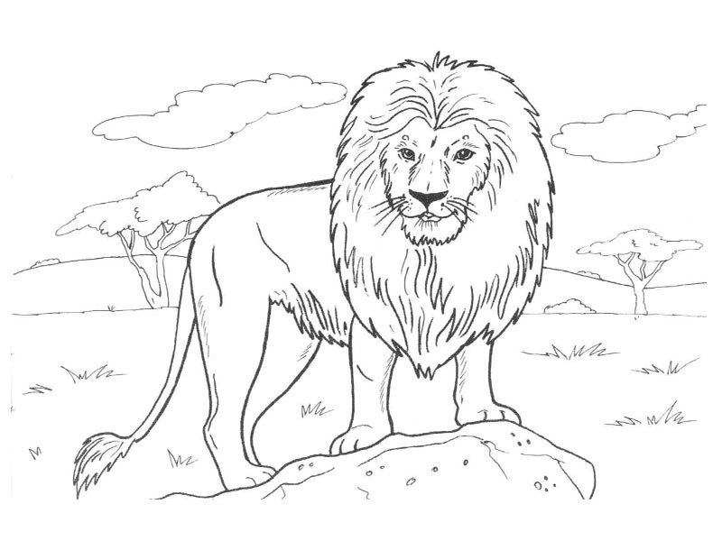 Dibujo para colorear: Animales salvajes / de la selva (Animales) #21107 - Dibujos para Colorear e Imprimir Gratis
