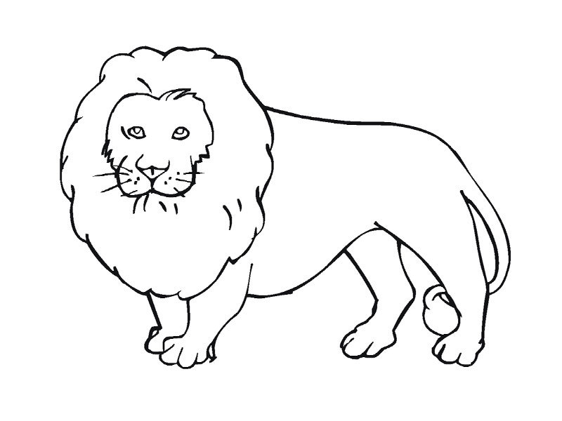 Dibujo para colorear: Animales salvajes / de la selva (Animales) #21111 - Dibujos para Colorear e Imprimir Gratis
