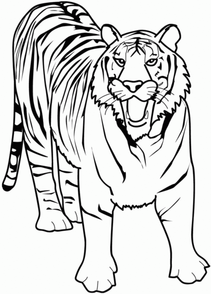 Dibujo para colorear: Animales salvajes / de la selva (Animales) #21130 - Dibujos para Colorear e Imprimir Gratis