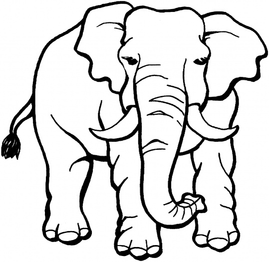 Dibujo para colorear: Animales salvajes / de la selva (Animales) #21155 - Dibujos para Colorear e Imprimir Gratis