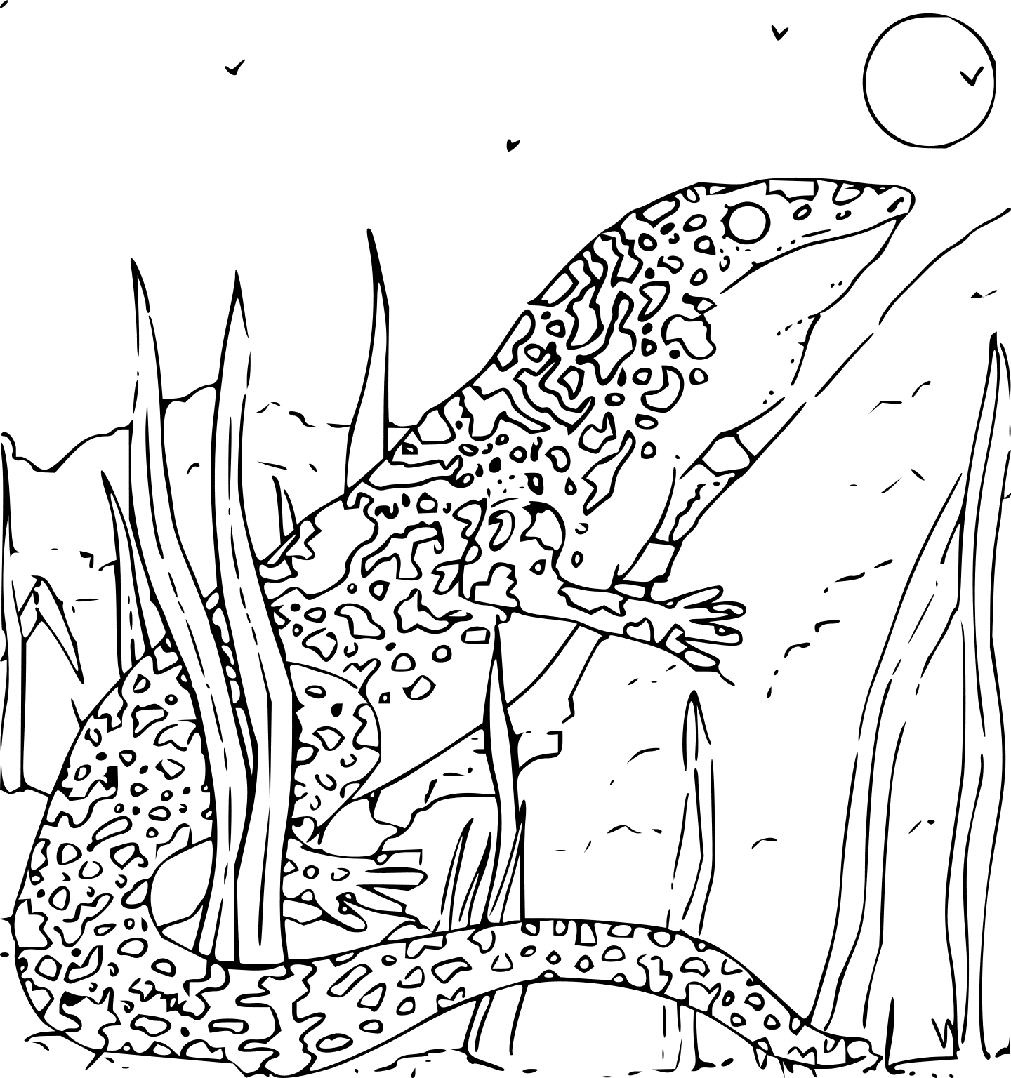 Dibujo para colorear: Animales salvajes / de la selva (Animales) #21208 - Dibujos para Colorear e Imprimir Gratis
