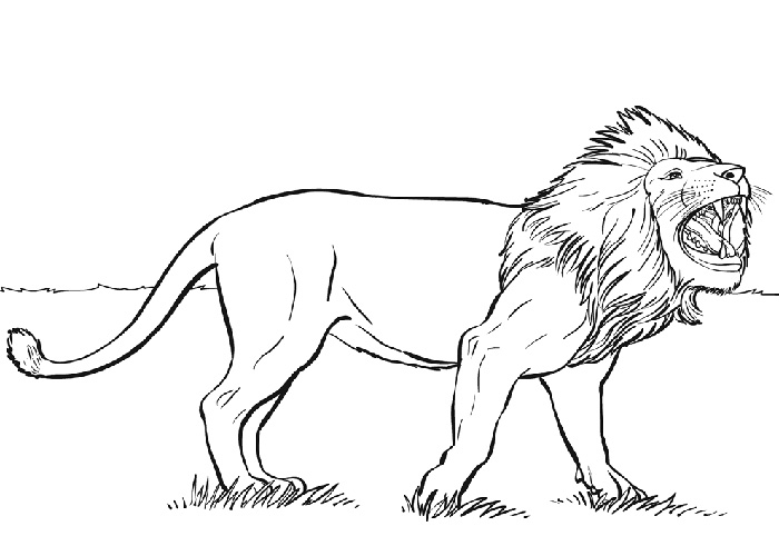 Dibujo para colorear: Animales salvajes / de la selva (Animales) #21338 - Dibujos para Colorear e Imprimir Gratis