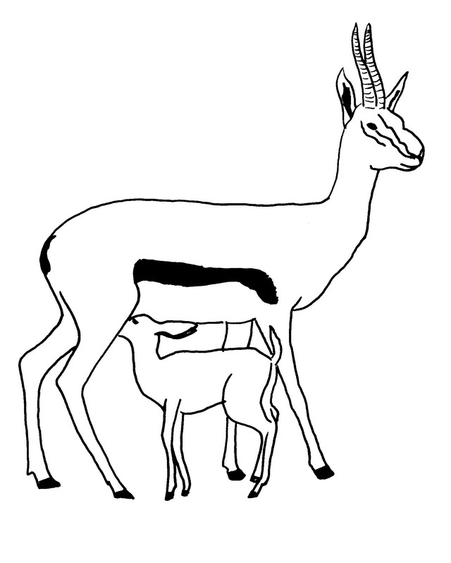 Dibujo para colorear: Antílope (Animales) #22605 - Dibujos para Colorear e Imprimir Gratis