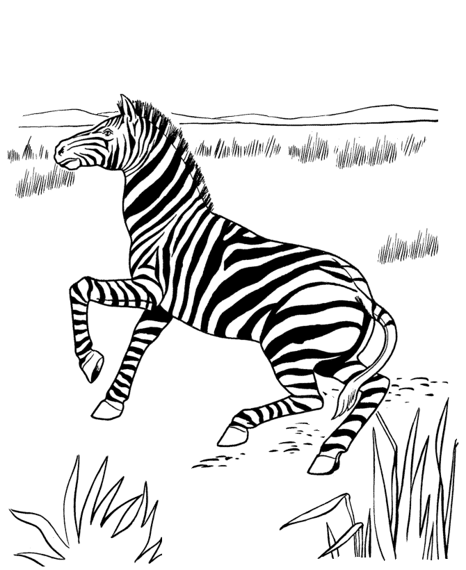 Dibujo para colorear: Antílope (Animales) #22652 - Dibujos para Colorear e Imprimir Gratis