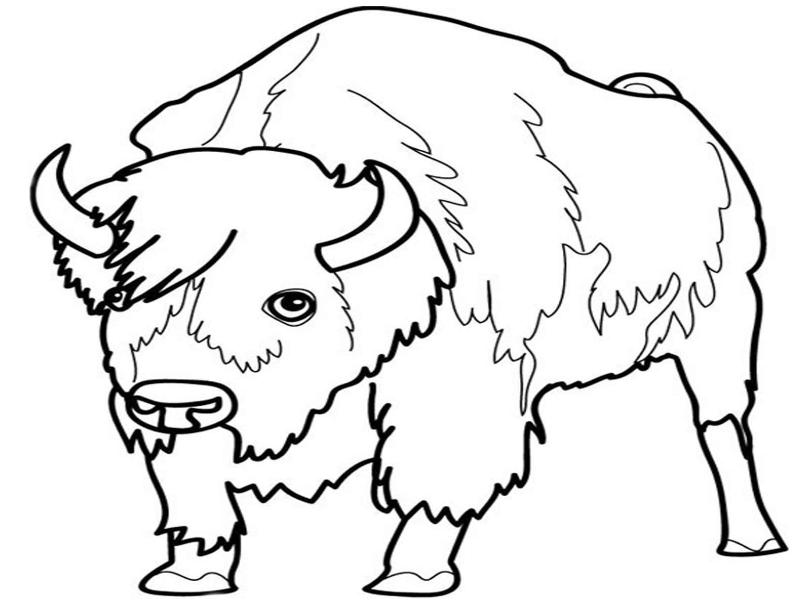 Dibujo para colorear: Antílope (Animales) #22676 - Dibujos para Colorear e Imprimir Gratis