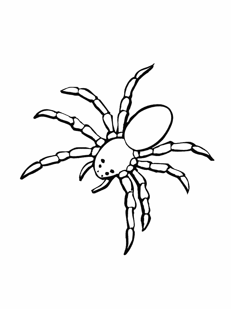 Dibujo para colorear: Araña (Animales) #583 - Dibujos para Colorear e Imprimir Gratis