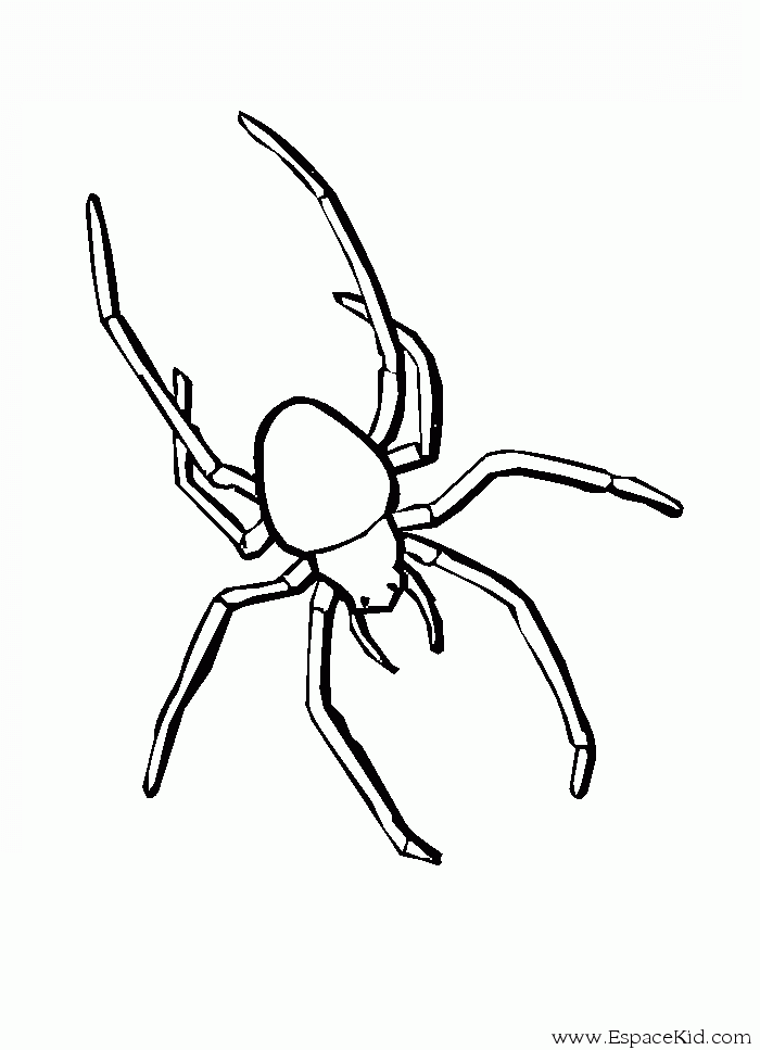 Dibujo para colorear: Araña (Animales) #587 - Dibujos para Colorear e Imprimir Gratis