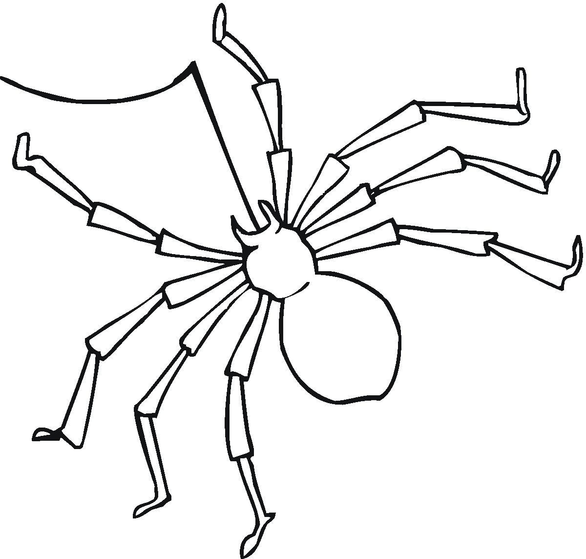 Dibujo para colorear: Araña (Animales) #597 - Dibujos para Colorear e Imprimir Gratis