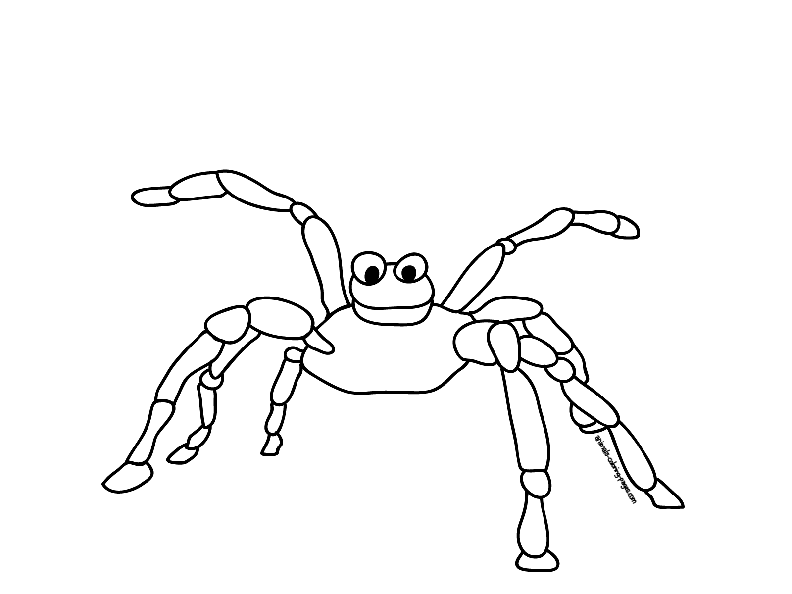 Dibujo para colorear: Araña (Animales) #611 - Dibujos para Colorear e Imprimir Gratis