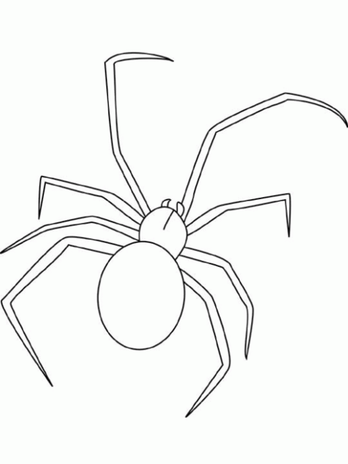 Dibujo para colorear: Araña (Animales) #613 - Dibujos para Colorear e Imprimir Gratis