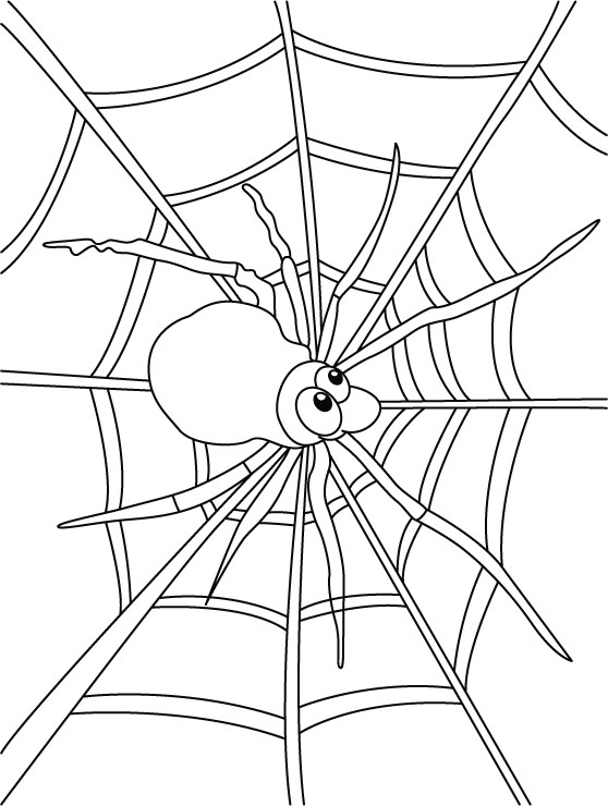 Dibujo para colorear: Araña (Animales) #648 - Dibujos para Colorear e Imprimir Gratis