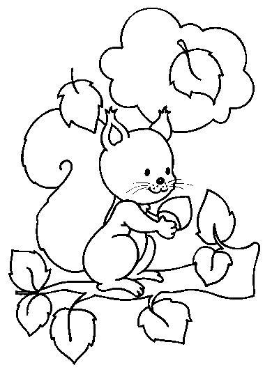 Dibujo para colorear: Ardilla (Animales) #6116 - Dibujos para Colorear e Imprimir Gratis