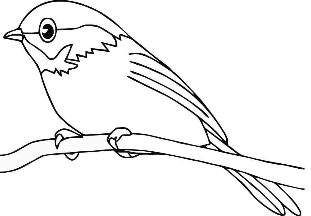 Dibujo para colorear: Aves (Animales) #11840 - Dibujos para Colorear e Imprimir Gratis