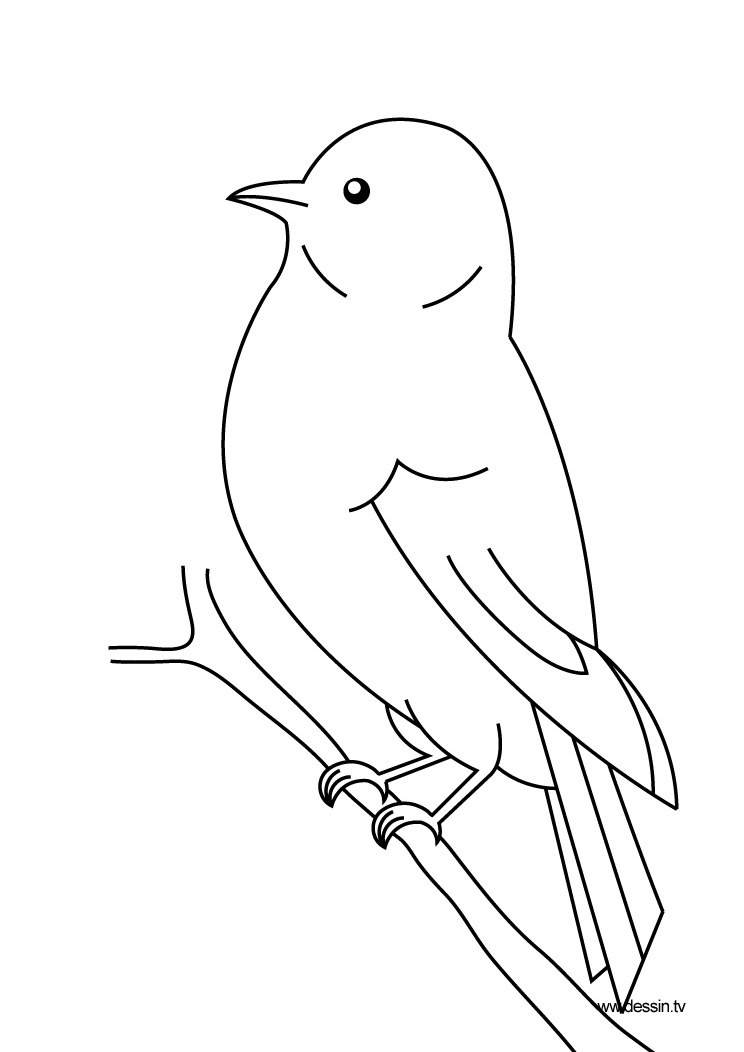Dibujo para colorear: Aves (Animales) #11844 - Dibujos para Colorear e Imprimir Gratis