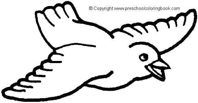 Dibujo para colorear: Aves (Animales) #11940 - Dibujos para Colorear e Imprimir Gratis