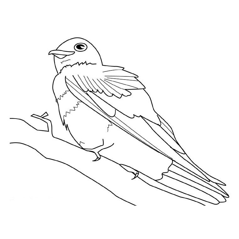 Dibujo para colorear: Aves (Animales) #11962 - Dibujos para Colorear e Imprimir Gratis