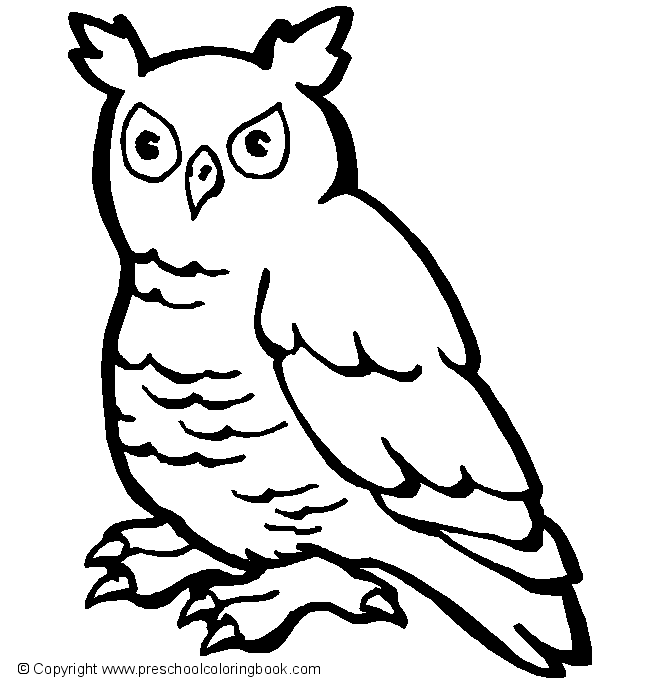 Dibujo para colorear: Aves (Animales) #11984 - Dibujos para Colorear e Imprimir Gratis