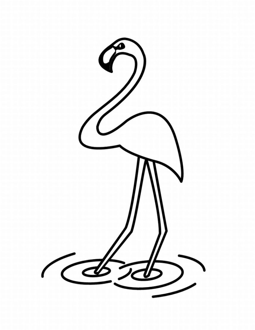 Dibujo para colorear: Aves (Animales) #12009 - Dibujos para Colorear e Imprimir Gratis