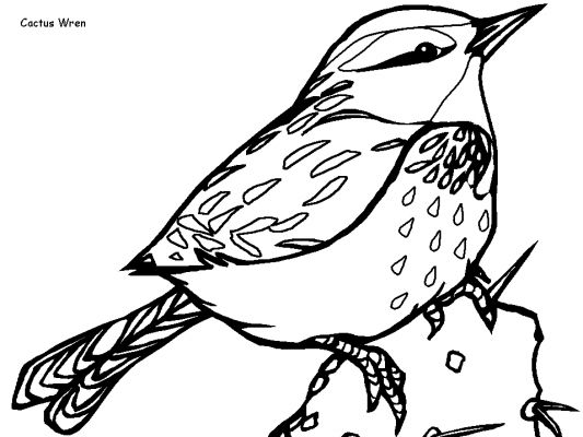 Dibujo para colorear: Aves (Animales) #12026 - Dibujos para Colorear e Imprimir Gratis
