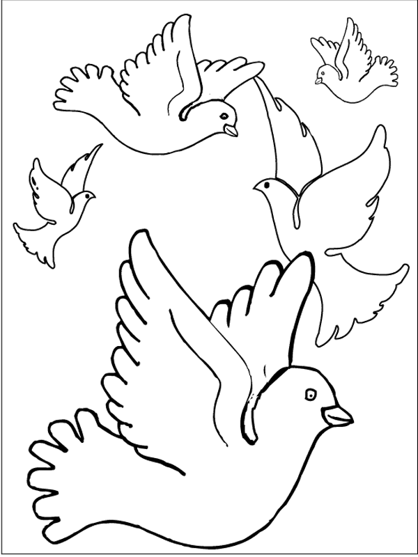 Dibujo para colorear: Aves (Animales) #12106 - Dibujos para Colorear e Imprimir Gratis