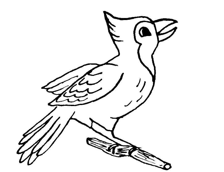 Dibujo para colorear: Aves (Animales) #12112 - Dibujos para Colorear e Imprimir Gratis