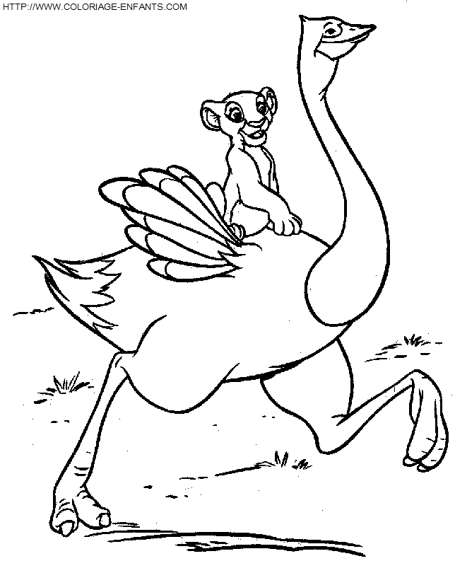Dibujo para colorear: Avestruz (Animales) #737 - Dibujos para Colorear e Imprimir Gratis