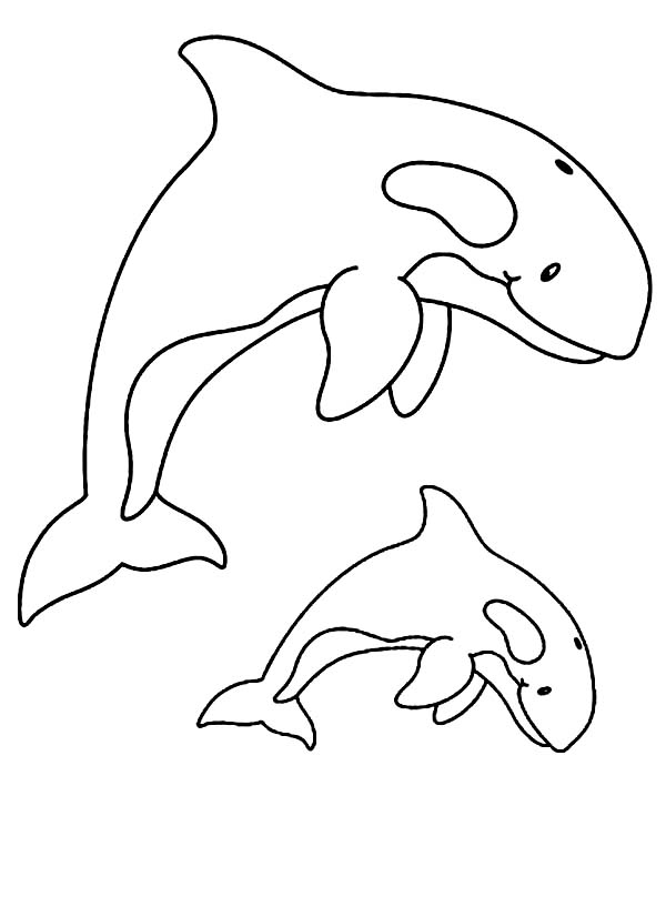 Dibujo para colorear: Ballena (Animales) #932 - Dibujos para Colorear e Imprimir Gratis