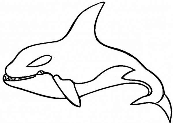 Dibujo para colorear: Ballena (Animales) #941 - Dibujos para Colorear e Imprimir Gratis