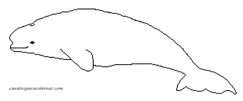 Dibujo para colorear: Beluga (Animales) #1063 - Dibujos para Colorear e Imprimir Gratis
