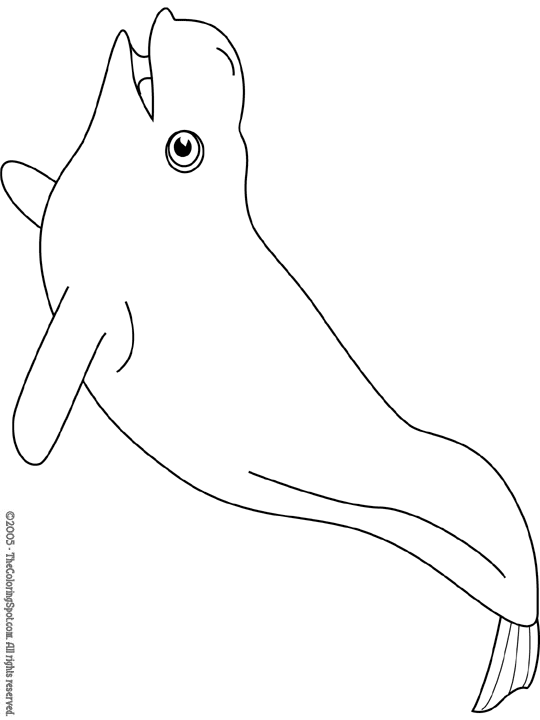 Dibujo para colorear: Beluga (Animales) #1064 - Dibujos para Colorear e Imprimir Gratis