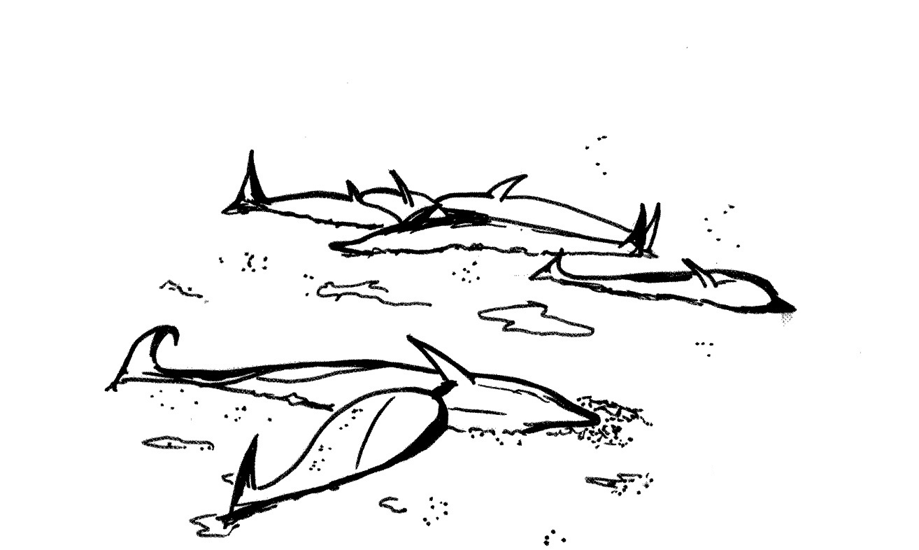 Dibujo para colorear: Beluga (Animales) #1079 - Dibujos para Colorear e Imprimir Gratis