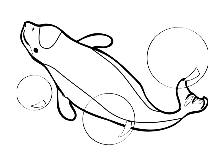 Dibujo para colorear: Beluga (Animales) #1089 - Dibujos para Colorear e Imprimir Gratis