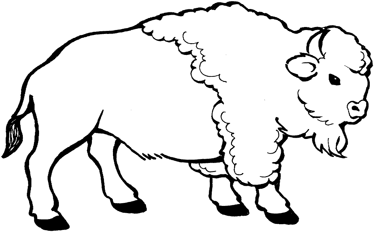 Dibujo para colorear: Bisonte (Animales) #1195 - Dibujos para Colorear e Imprimir Gratis