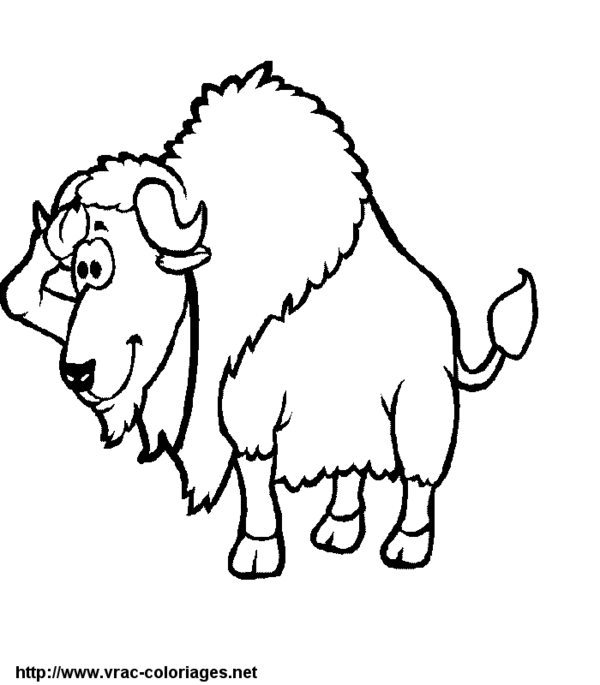 Dibujo para colorear: Bisonte (Animales) #1203 - Dibujos para Colorear e Imprimir Gratis