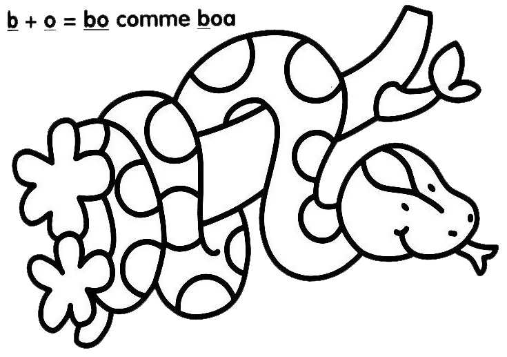 Dibujo para colorear: Boa (Animales) #1290 - Dibujos para Colorear e Imprimir Gratis