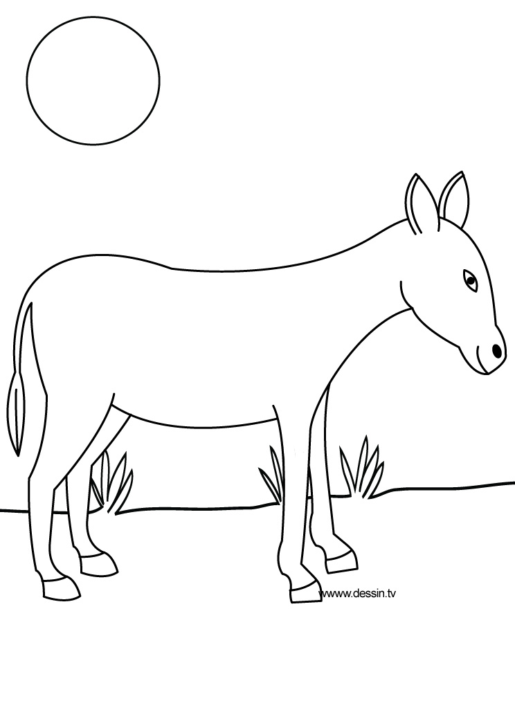 Dibujo para colorear: Burro (Animales) #482 - Dibujos para Colorear e Imprimir Gratis