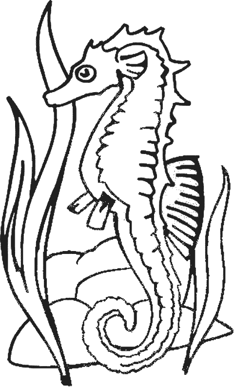 Dibujo para colorear: Caballito de mar (Animales) #18632 - Dibujos para Colorear e Imprimir Gratis