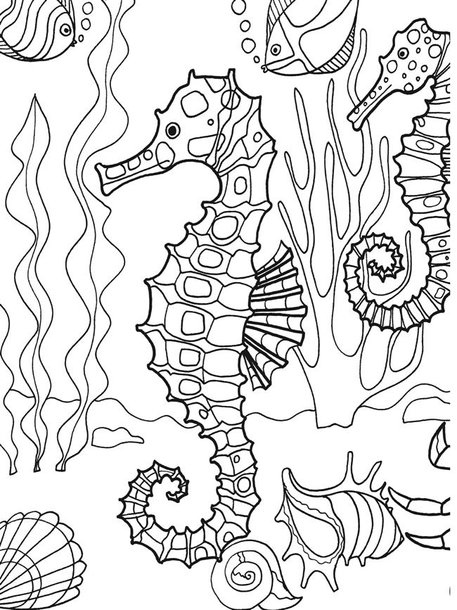 Dibujo para colorear: Caballito de mar (Animales) #18718 - Dibujos para Colorear e Imprimir Gratis