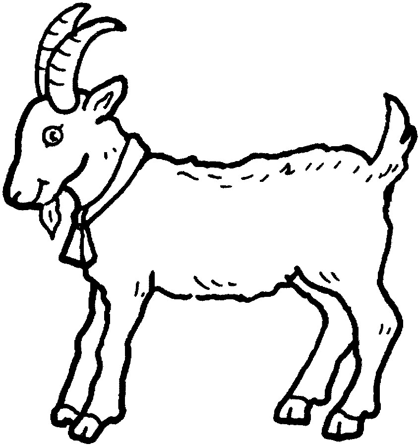 Dibujo para colorear: Cabra (Animales) #2361 - Dibujos para Colorear e Imprimir Gratis