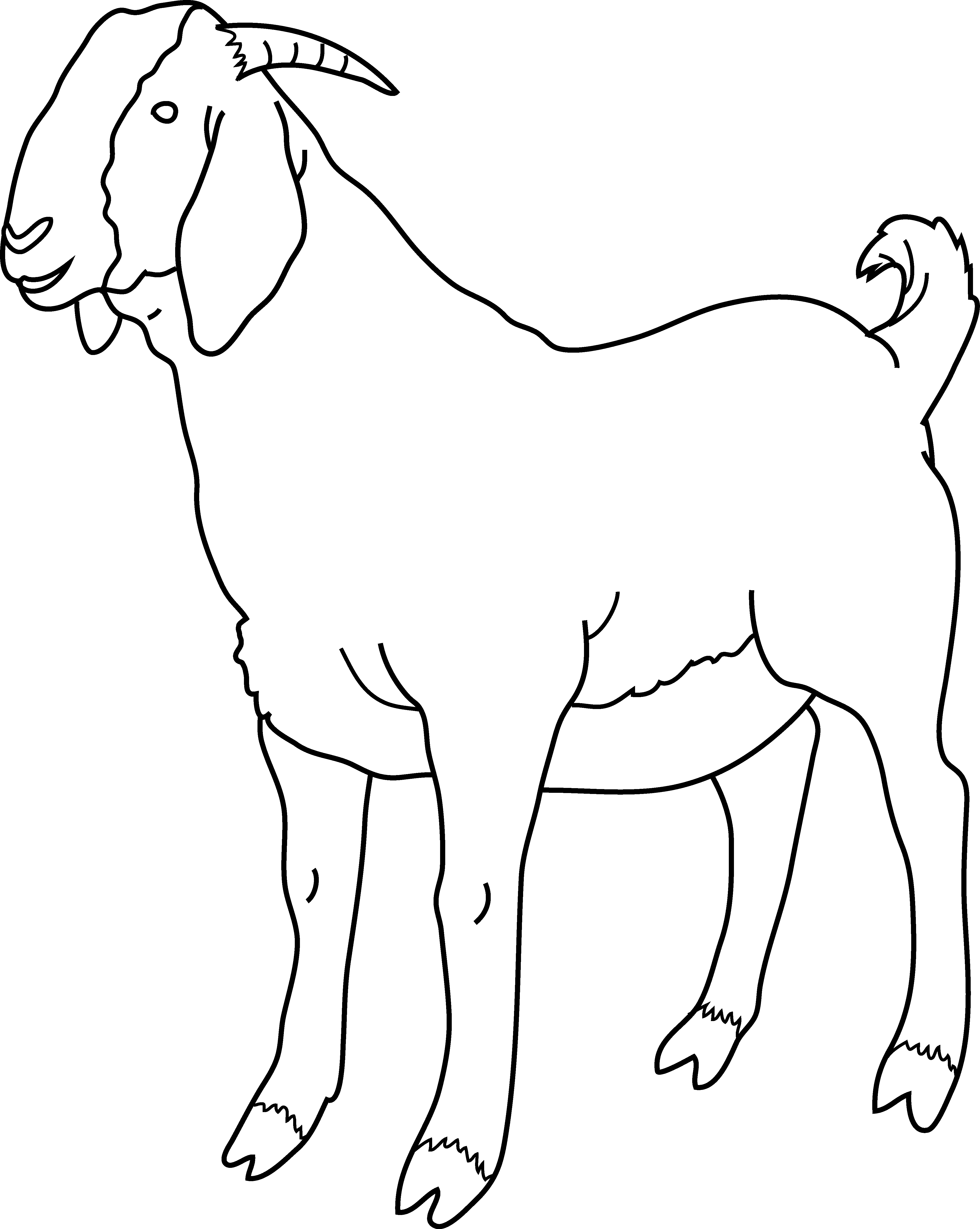 Dibujo para colorear: Cabra (Animales) #2381 - Dibujos para Colorear e Imprimir Gratis