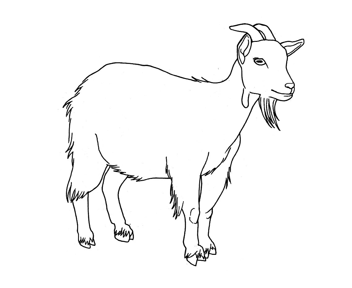 Dibujo para colorear: Cabra (Animales) #2406 - Dibujos para Colorear e Imprimir Gratis